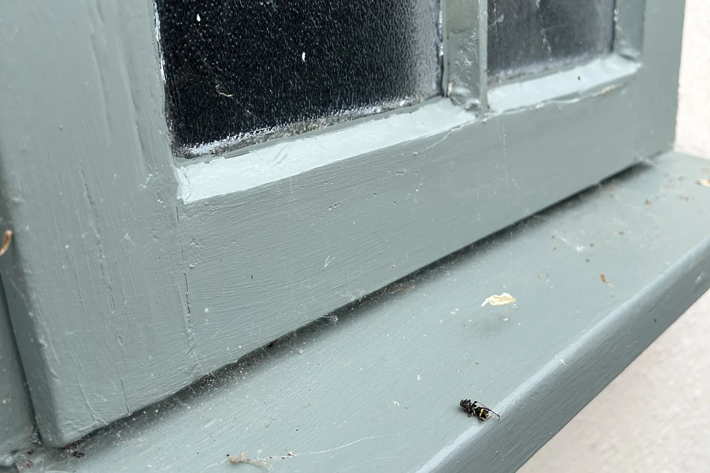 A painted timber window with dirt and cobwebs built up along the frame and sill, before cleaning