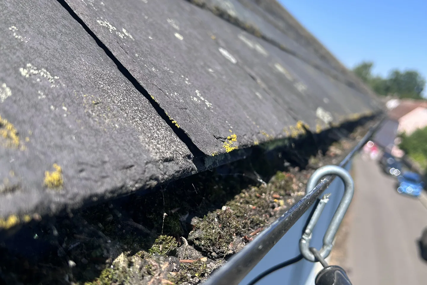 A gutter channel packed with moss and silt, photographed from the pole above a street