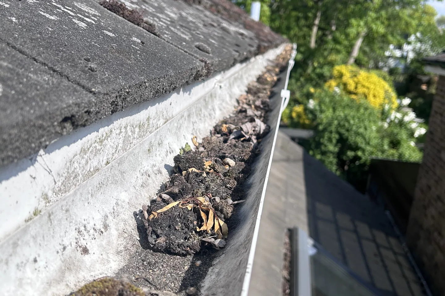 A gutter packed with silt and debris along a tiled roof, before clearing