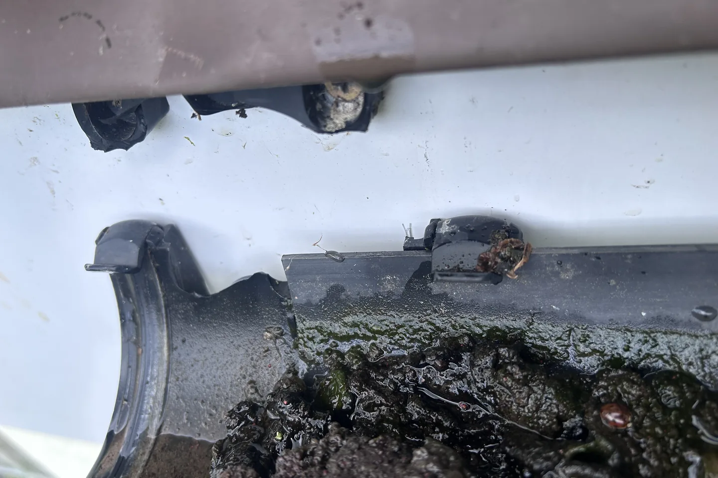 The joint where a gutter meets its downpipe, packed with black silt