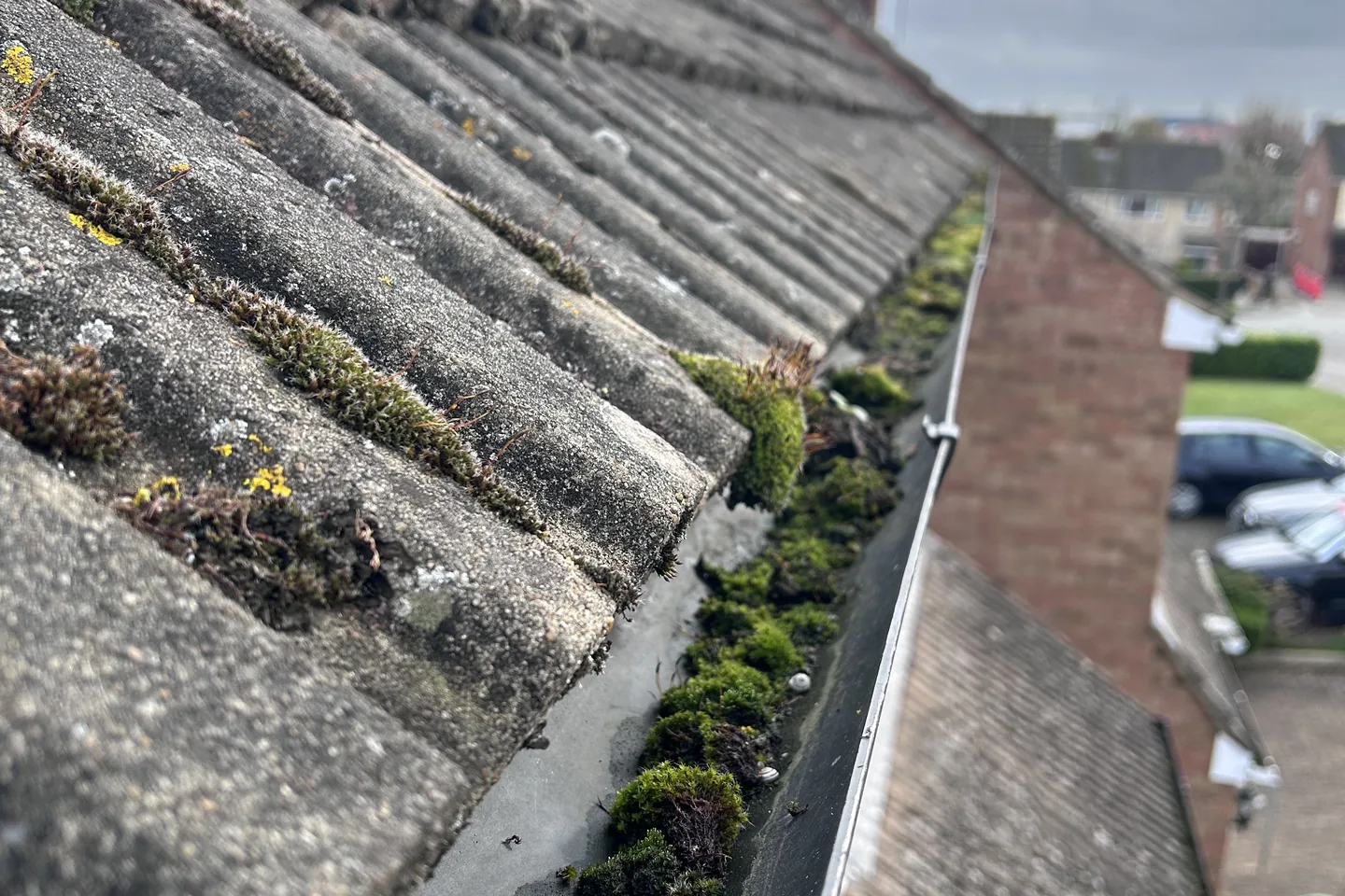 Moss and roof grit collected along a gutter on a tiled roof