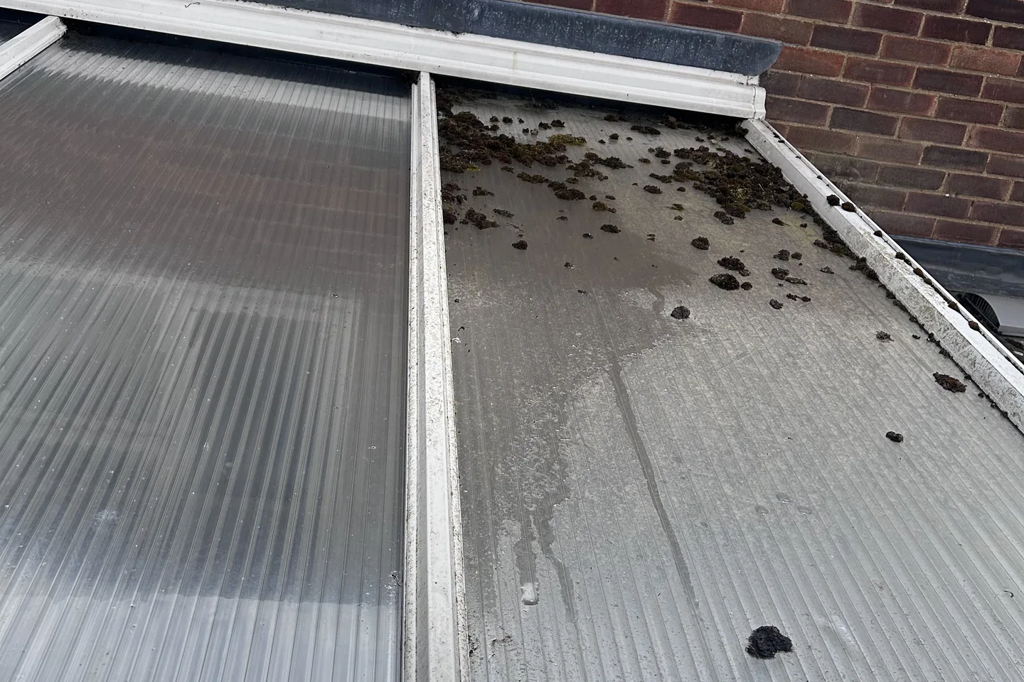 One roof panel half cleaned. The difference dirt makes, in one frame