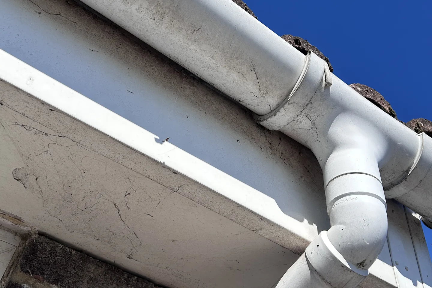 A fascia board, the soffit under it and the downpipe they feed