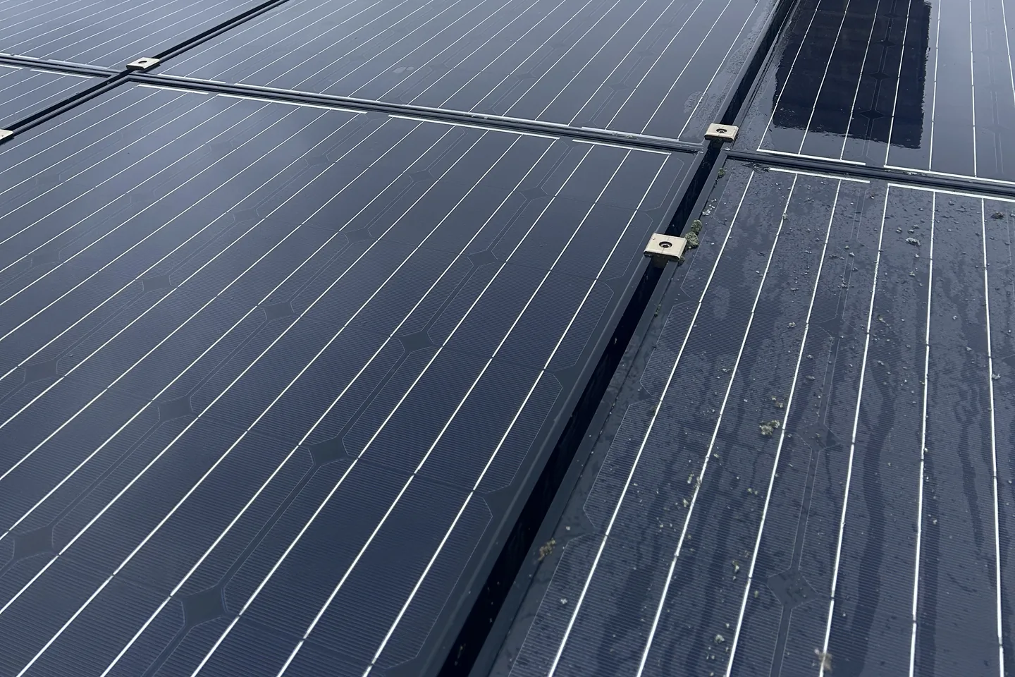 Roof solar panels after cleaning, with the bottom-right panel left dirty to show the difference