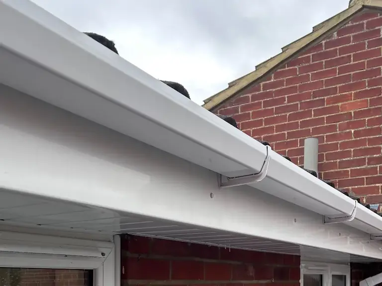 After fascia clean