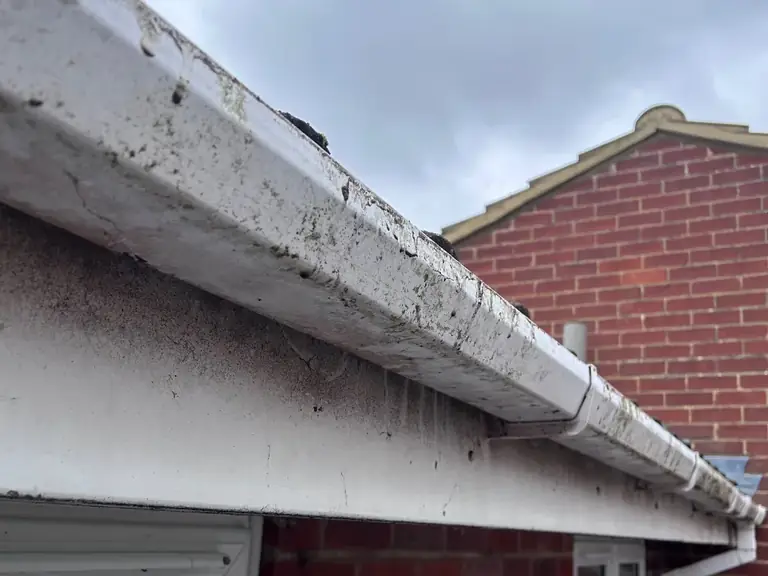 Before fascia clean