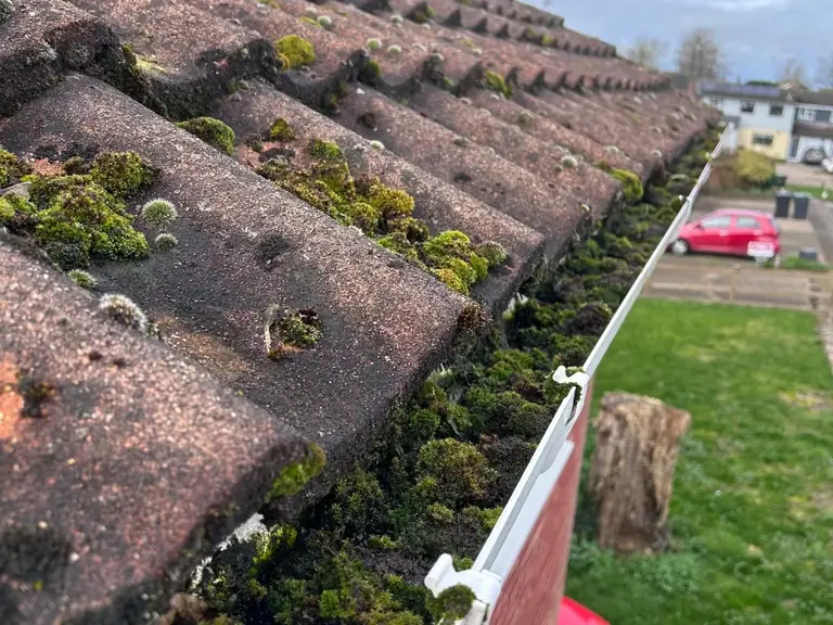 Before gutter clearance