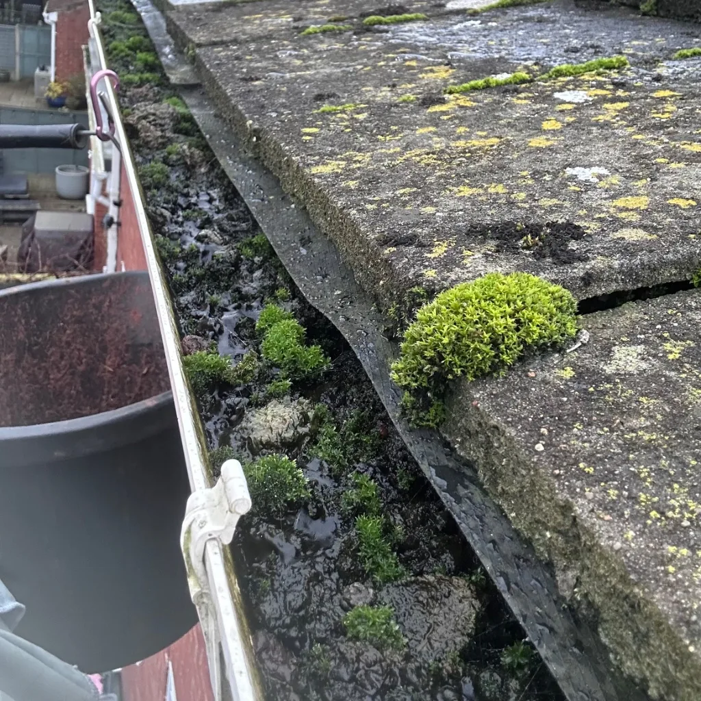 Gutter Clearance